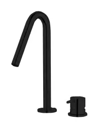 Waterevolution Flow 2-huls håndvaskarmatur mat sort med lille V 120mm tud T1121VPR