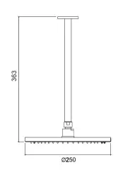 Waterevolution Flow hovedbruser 250mm med lofttilslutning mat hvid T164225BR
