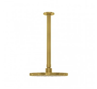 Waterevolution Flow overhead shower 250 mm with ceiling connection, brushed brass T164225LE